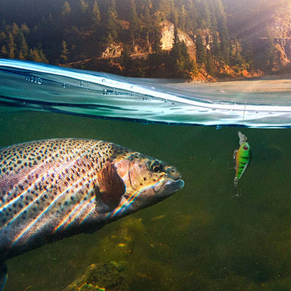 Calendar Fishing 🎣